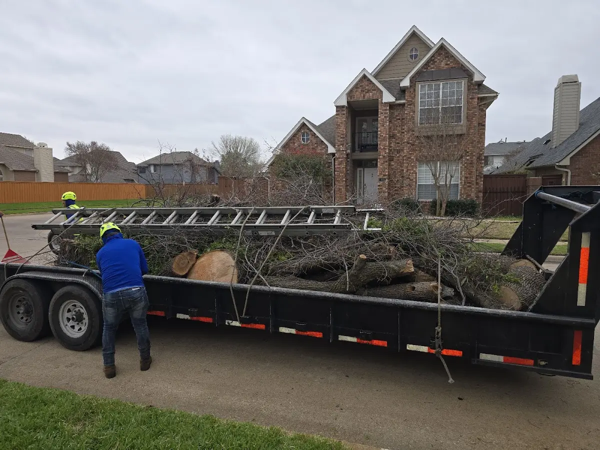 Expert Crown Reduction with proper safety equipment in Branch